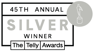 Wienot Films is a Silver Telly Award Winner for it's animated rap explainer video corporate training for BRG