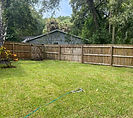 image2 (5).jpeg