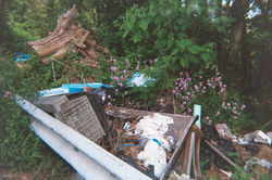 This is a farm, not a dumpster