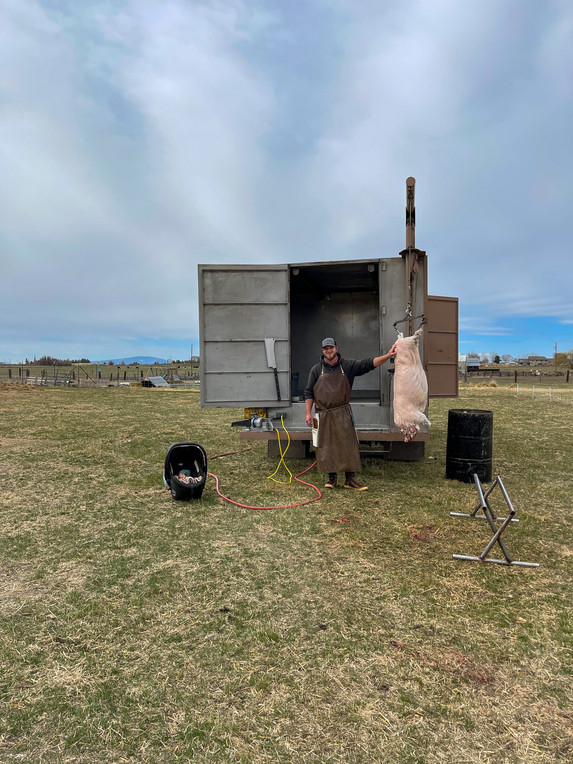 A white man in his mid-20s wearing a butchering apron stands in front of a silver metal butchering trailer. To the right of the image hangs a pink pork carcass. To the left, a small baby sleeps in a black carrier.