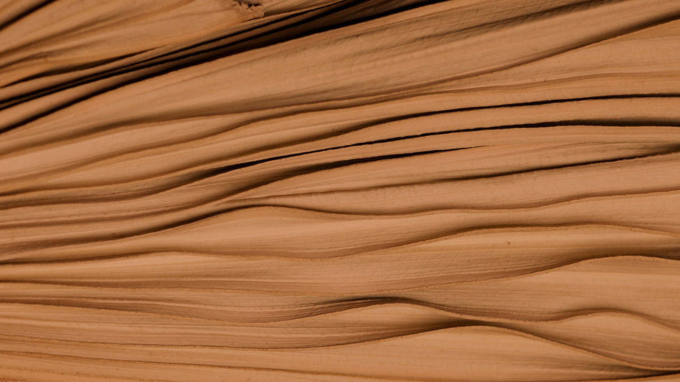 Brown Material_edited_edited.jpg