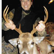 deer.jpeg