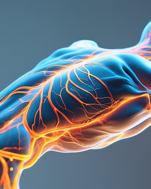 vecteezy_futuristic-human-anatomy-with-glowing-muscles-and-vascular_57795231.jpg