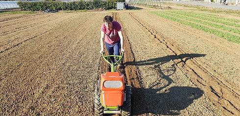 WhatsApp Image 2023-01-13 at 13.23.08 (5).jpeg