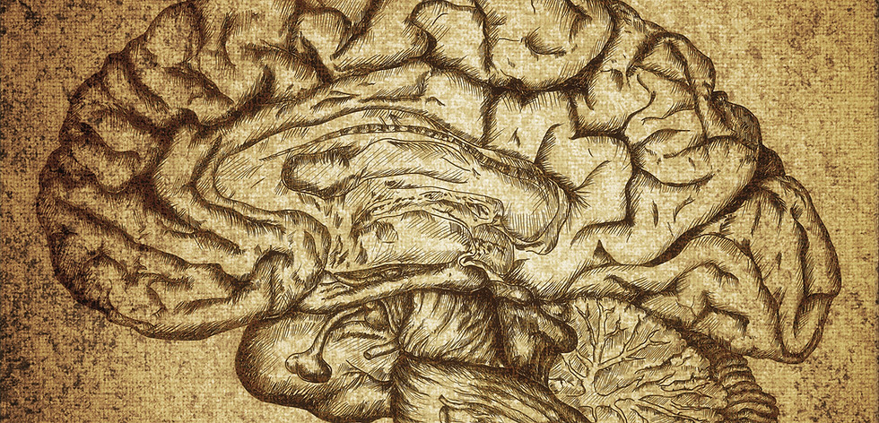 Vintage Brain Illustration