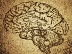 Chronische Schmerzen - alles nur im Kopf?