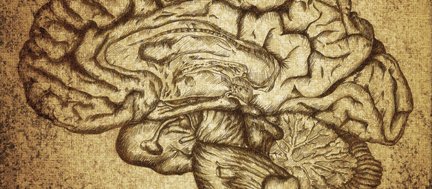 Smart's "Sensation and Brain Processes"