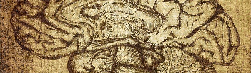 Vintage Brain Illustration