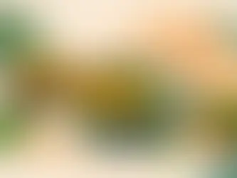Warum vegane indische Küche im Trend liegt