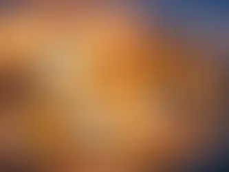 Feierabendessen indisch schnell geliefert