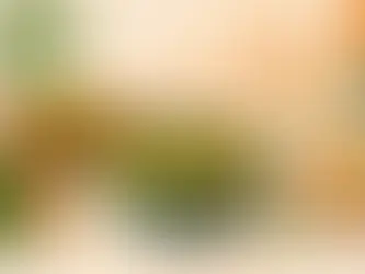 Warum pflanzliche indische Gerichte im Trend sind
