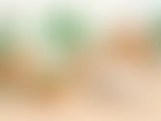 Trends für nachhaltige Restaurantverpackungen