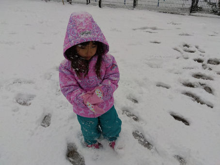 今週のゆり、うさぎ組