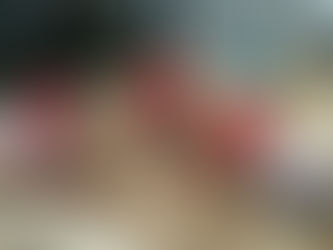 今週のうさぎぐみさん