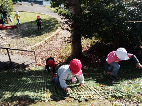 今週のゆりぐみさん
