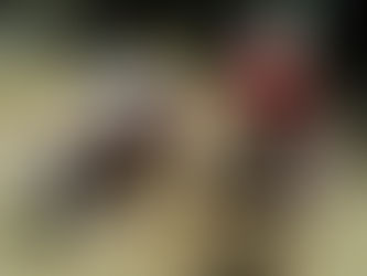 今日のゆりぐみ、ひかりぐみ