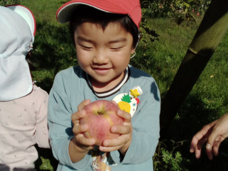 うさぎ、ことり組りんご狩り🍎