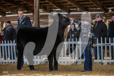 Copy of IMG_3811.jpg