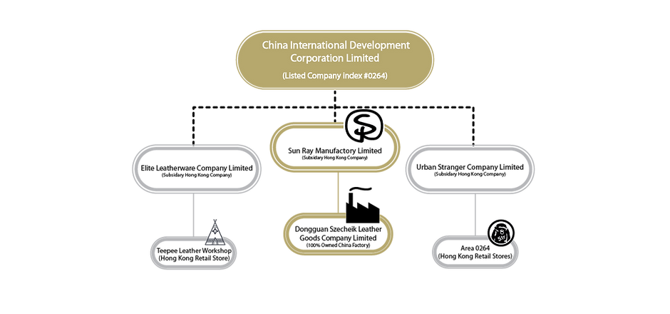 Company Structure-02 (2).png