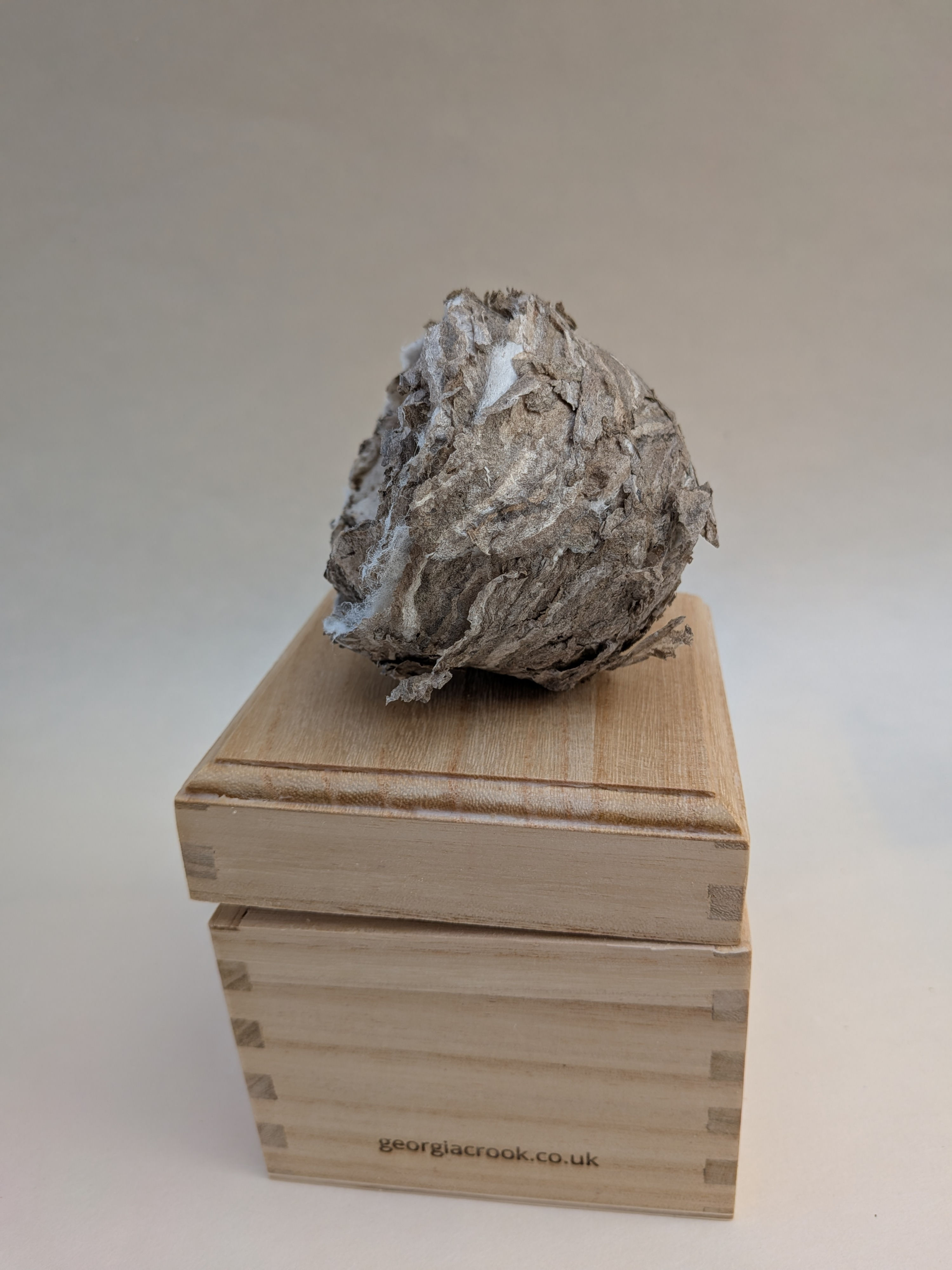 Wasp Pod