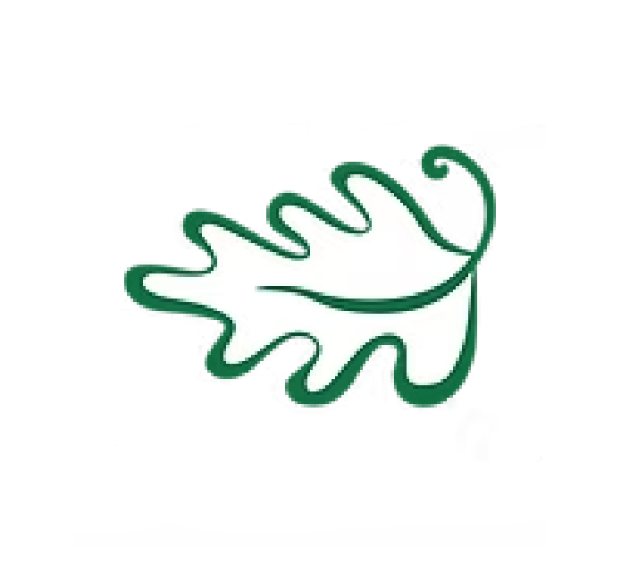favicon.png