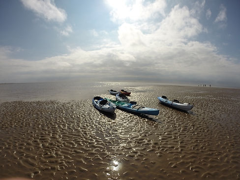 2 Hour Sandbank Trip D2.jpeg