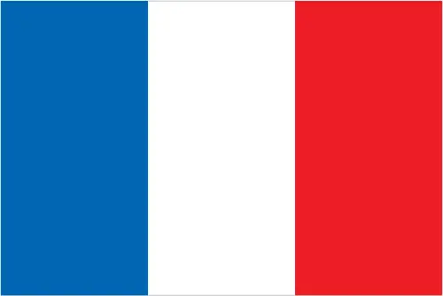 fr-flag.webp