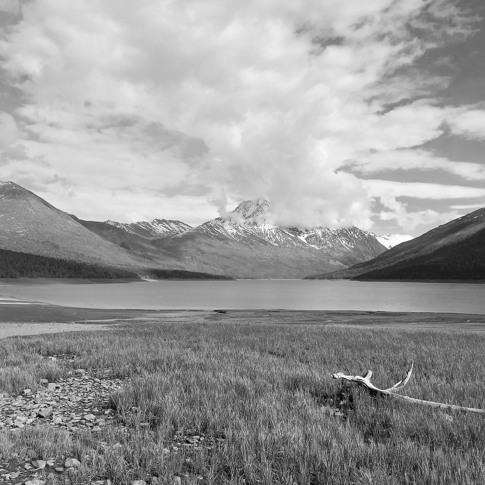 Background_alaska.jpg