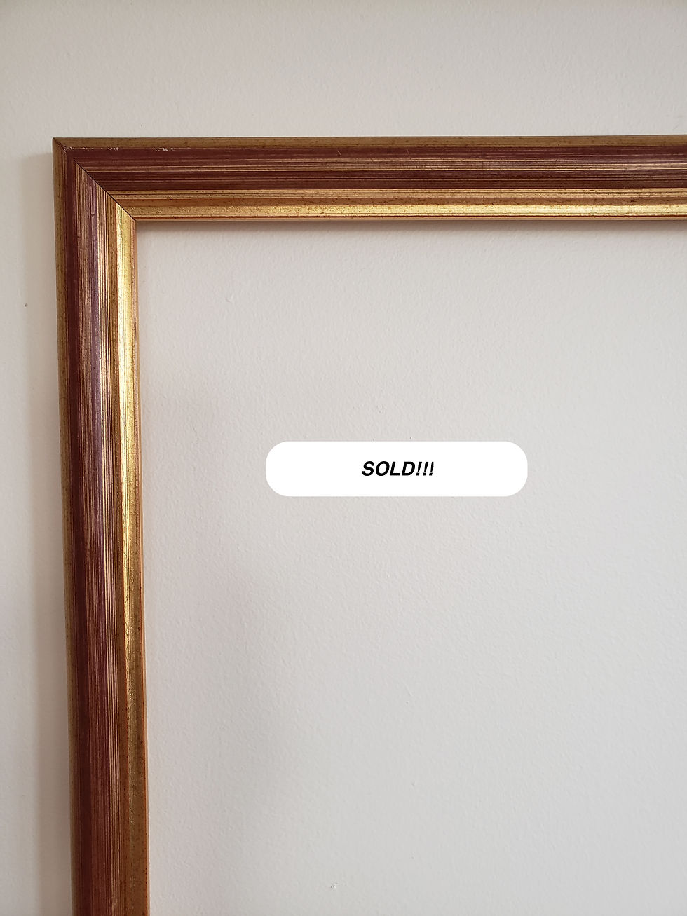 (2) Gold narrow Frame 38.5x24. 875.jpg $30