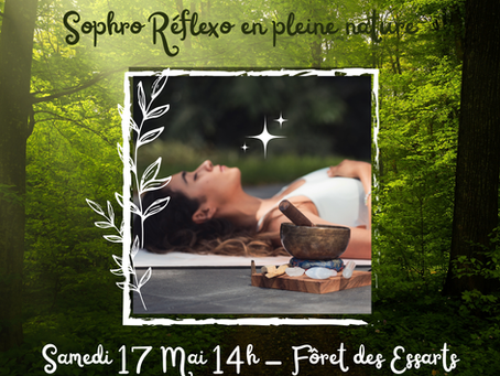 Sophro Réflexo en pleine forêt