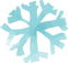 flocon de neige