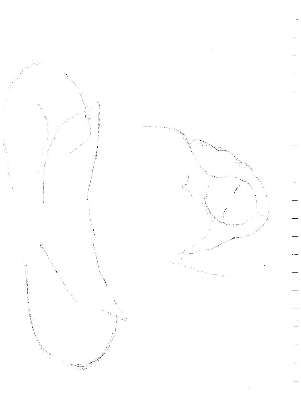 サムネイル： Original Illustration "You and I are rooted things." [design on back]