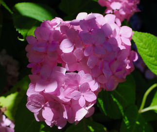 IMG_0139.jpeg