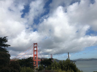 IMG_9295.jpeg