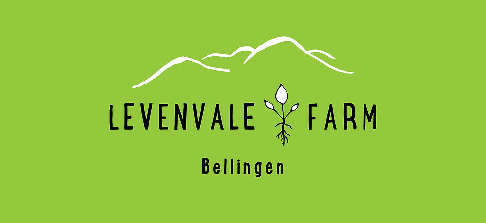 Levenvale Farm 2.jpg