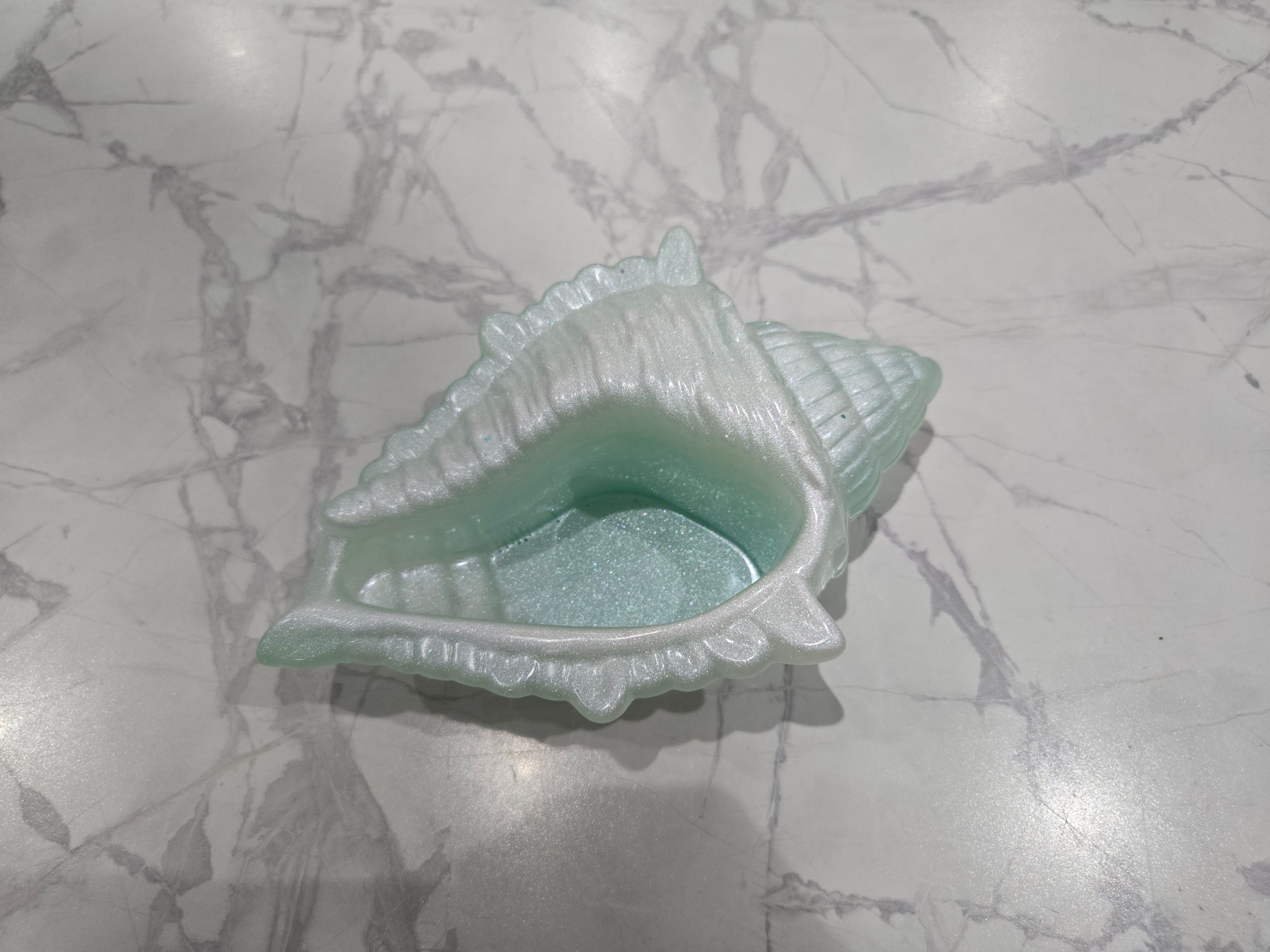 Coquillage - Décoration