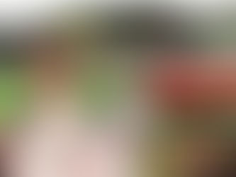 Marvin Kessel kehrt zur TGS zurück