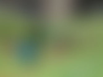 TGS Nachwuchs in den Herbstferien aktiv