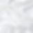 WHIT FABRIC.jpg