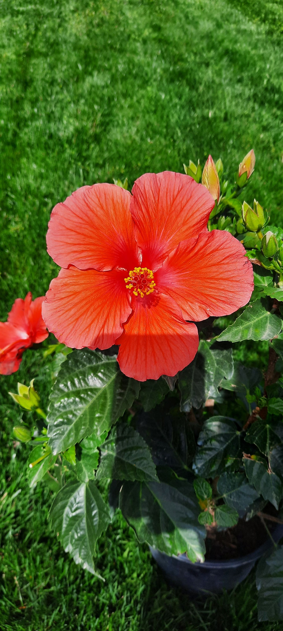 Resized_20250330_112450