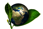 earth-661447_1920.png