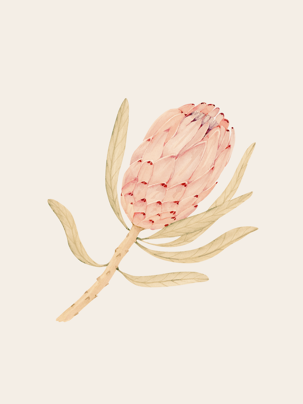 Tropical Flower