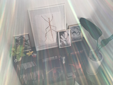 多読。