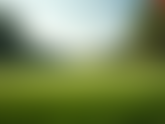 Effective Methods for Staff Training