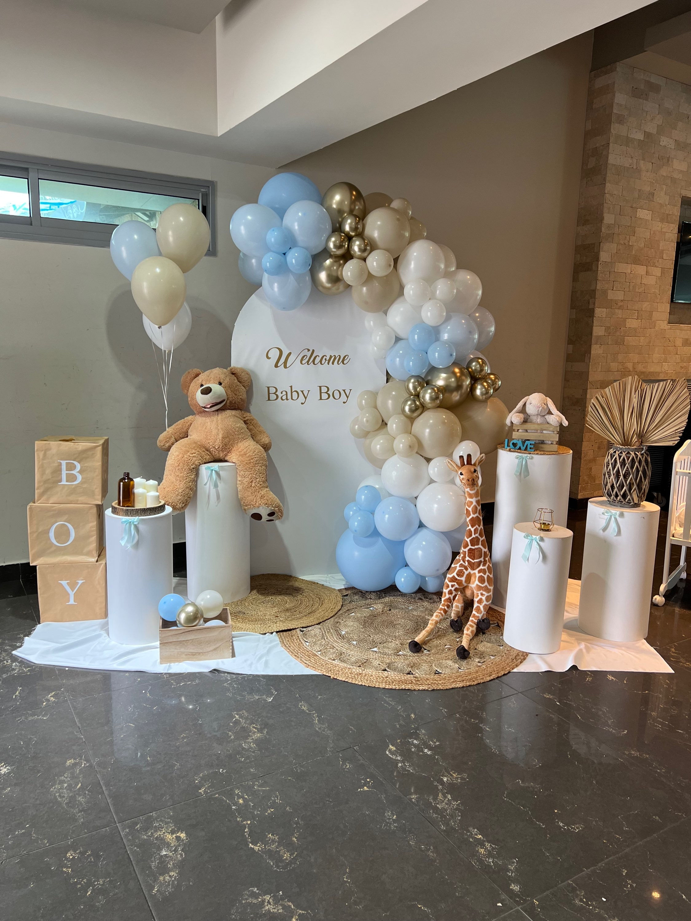 קיר צילום גולדן בייבי בלו