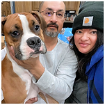 Boxer Lovers Rescue adopted boxer