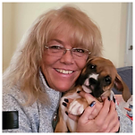 Boxer Lovers Rescue adopted boxer