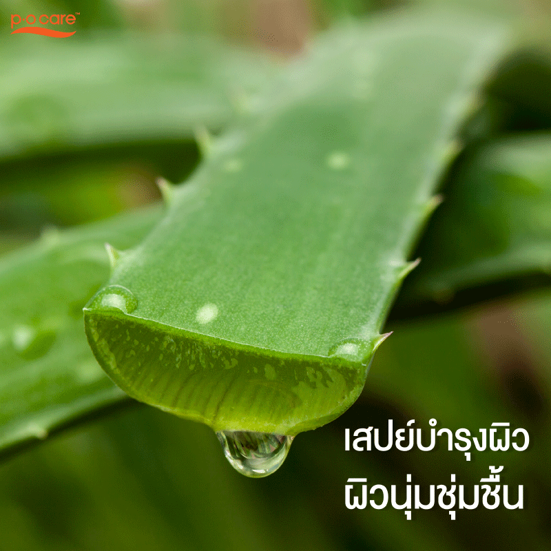 P.O.CARE ALOE VERA MOISTURIZING SPRAY 170 ml