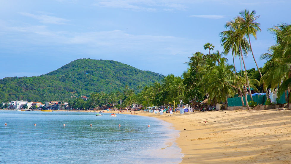 samui_02