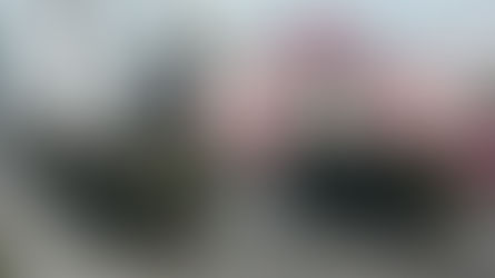 미 육군 "북한 핵무기 60개 보유...매년 6개씩 생산 가능"